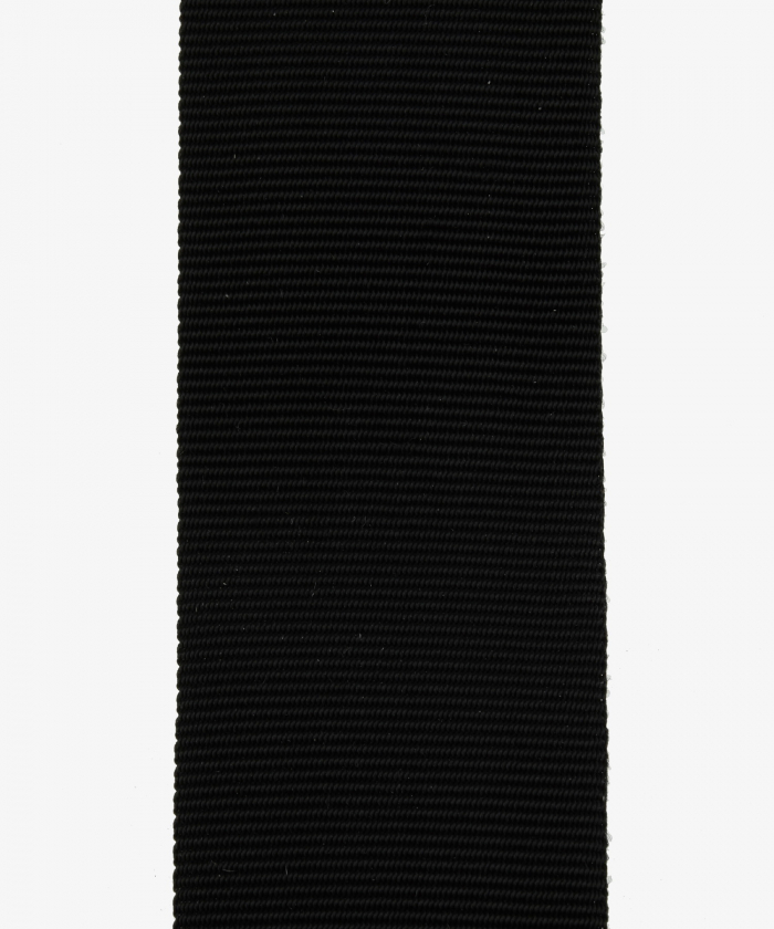 Nassau-Dillenburg, Medal of the Golden French Horn (71)